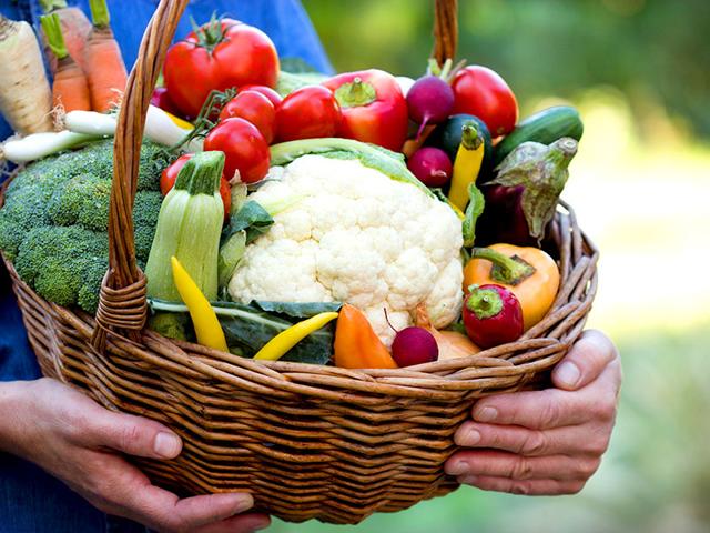 Organic Food – Health And Lifestyle